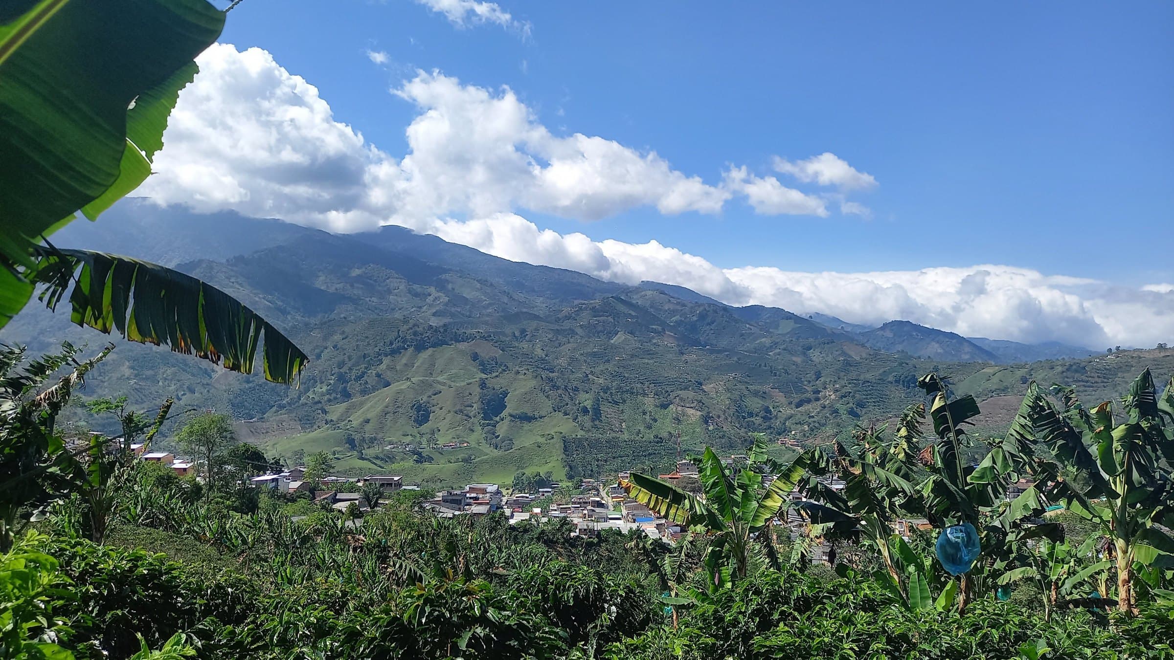 Valle verde de Risaralda con un pueblo al fondo, montañas entre nubes y hojas de plátano en primer plano.